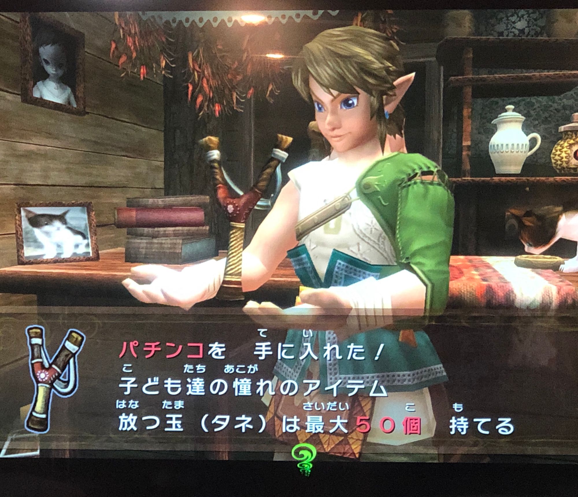 Scene from The Legend of Zelda: Twilight Princess